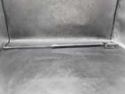 Heckklappe Gasdruckfeder rechts NISSAN QASHQAI II (J11, J11_) 1.5 dCi 3258YM 0355N