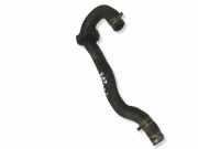 Schlauch Kühlung PEUGEOT 607 (9D, 9U) 2.2 HDi