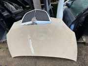 Motorhaube LANCIA ZETA (22_) 1.2