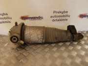 Stoßdämpfer links hinten VW Touareg I (7L) 7L6512021AG