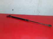 Heckklappe Gasdruckfeder rechts NISSAN MURANO II (Z51) 3.5 4x4 904501AA0A