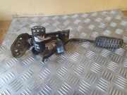 Fahrpedal Nissan Almera II (N16) 0281002425
