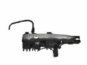 Türgriff links hinten Renault Grand Scenic II (JM)