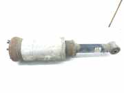 Pneumatischer Stoßdämpfer vorne links LAND ROVER RANGE ROVER SPORT (L320) 2.7 D 4x4 RNB501310