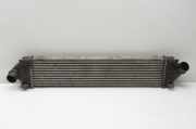 Ladeluftkühler Ford Mondeo IV (BA7) 6G919L440