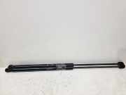 Heckklappe Gasdruckfeder rechts FORD C-MAX II (DXA/CB7, DXA/CEU) 1.6 EcoBoost 3M51R406A10AC 1683725