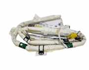 Airbag Dach links Ford Grand C-Max (DXA) AM5114K158AE