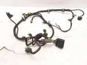 Kabelbaum MASERATI QUATTROPORTE VI 3.0 S Q4 4WD