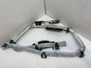 SRS Modul Dach links BMW 3 Touring (E91) 318 d 09B0751B3189W 8469668590562