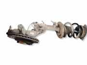 Radnaben vorne rechts RENAULT LAGUNA Coupe (DT0/1) 2.0 dCi 402000003R