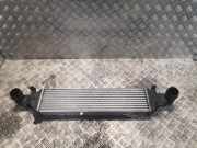 Ladeluftkühler Mercedes-Benz E-Klasse (W212) 2045000200