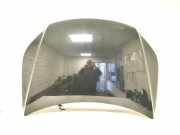 Motorhaube VW TIGUAN (5N_) 2.0 TDI 4motion