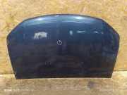 Motorhaube DACIA SANDERO II TCe 90