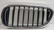 Gitter BMW 5 (G30) 530 d 7473691