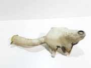 Fensterwaschtank CHRYSLER 300 C Touring (LX) 3.5