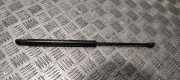 Heckklappe Gasdruckfeder links BMW 4 Cabrio (F33, F83) 425 d 7295205