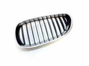 Vorderer oberer Gitter