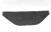 Polster der Motorhaube MERCEDES-BENZ R (W251, V251) R 320 CDI 4-matic (251.022, 251.122) A2516820026