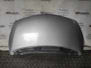 Motorhaube RENAULT ESPACE IV (JK0/1_) 2.0 dCi (JK02, JK03)