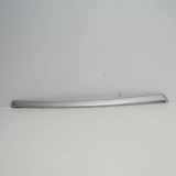 Türverkleidung vorne links