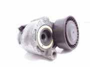 Riemenspanner RENAULT MEGANE II (BM0/1_, CM0/1_) 1.5 dCi 65503
