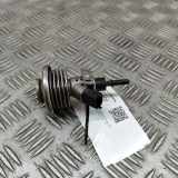 AdBlue Einspritzdüse RENAULT MASTER III Furgon (FV) 2.3 dCi 165 [RWD] 04440210452 208993839R