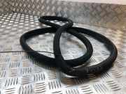 Türdichtung Mercedes-Benz C-Klasse (W203)