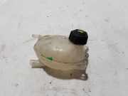 Ausgleichsbehälter DACIA Duster 1.6 SCe 115 217100680R