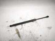 Heckklappe Gasdruckfeder rechts BMW 3 Coupe (E92) 320 i 51247129194