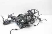 Motor Kabelbaum TOYOTA AURIS (_E18_) 1.6 (ZRE181_, ZRE185_) 821210Z250