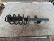 Stoßdämpfer vorne rechts FORD TRANSIT Furgon 2.2 TDCi [RWD] BK3118045ED