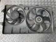 Kühlmodul Ford Transit Connect (P*2)