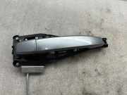 Türaußengriff hinten links