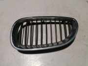 Vorderer oberer Gitter BMW 5 Touring (E61) 530 d 7065701