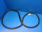 Türdichtung BMW X4 (F26) 7380923