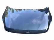 Motorhaube FORD GRAND C-MAX (DXA/CB7, DXA/CEU) 2.0 TDCi