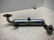 AGR-Kühler OPEL MERIVA B 1.7 CDTI 526609 8973635151