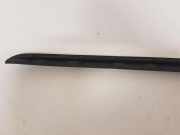 Zierleiste Windschutzscheibe Frontscheibe BMW 3 Touring (F31) 320 d