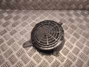 Türlautsprecher vorne rechts PEUGEOT 208 II (UB_, UP_, UW_, UJ_) 1.2 PureTech 100 9818747880