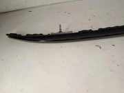 Dachgriff hinten links BMW X5 (F15, F85) xDrive 30 d 8057755