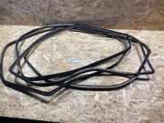 Türgummi rechts vorne Lexus RX 2 (U3)