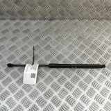 Heckklappe Gasdruckfeder rechts FIAT 500 (312_) 1.0 Mild Hybrid (312.AYD1B) 52240624