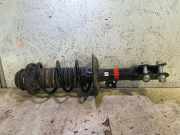 Stoßdämpfer vorne rechts TOYOTA YARIS (_P21_) 1.5 48520K00BC