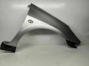 Kotflügel vorne rechts