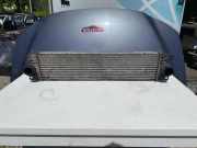 Kühlerluftumlenker OPEL MOVANO Furgon (F9) 2.5 DTI 874806MC