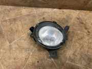 Nebelscheinwerfer vorne rechts