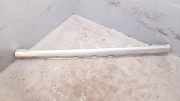 Linker Schweller MERCEDES-BENZ R (W251, V251) R 350 4-matic (251.065, 251.165) 2516980351