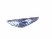 Blinker Kotflügel links BMW X5 (E70) 7171007