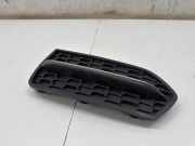 Gitter vorne unten BMW 2 Cabrio (F23) M 240 i 8055955