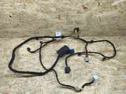 Kabel Tür vorne rechts FIAT 500E (332_) Elektro (FA1) P68186545AA